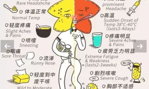 胡颓子中药名-胡颓子的功效与主治网 - 为你提供胡颓子的功效与主治与用量、胡颓子功效治疗作用