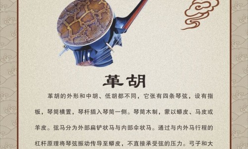 胡颓子中药名-胡颓子的功效与主治网 - 为你提供胡颓子的功效与主治与用量、胡颓子功效治疗作用